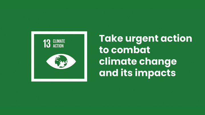Climate Action Now: The Urgent Need to Achieve SDG 13 for a Sustainable Future