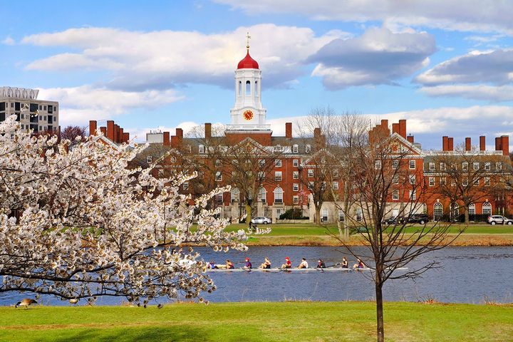 Harvard's Free Courses: Are They Worth Your Time?